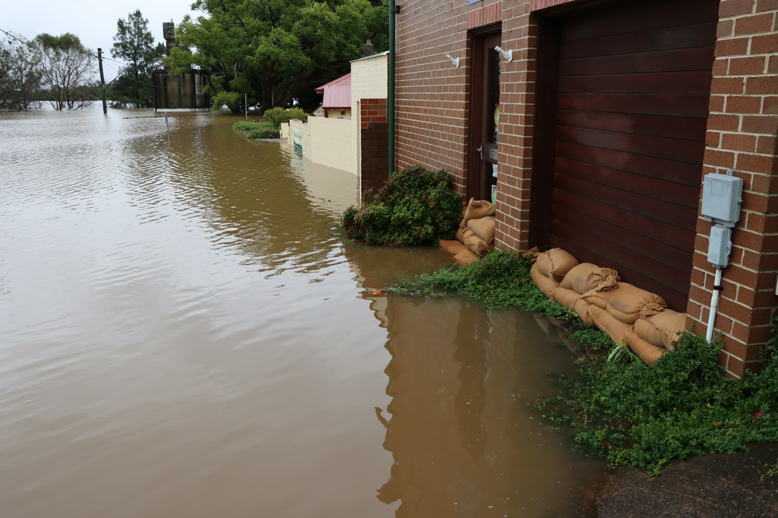 a flooded street with a building and a dog lying on the ground renter