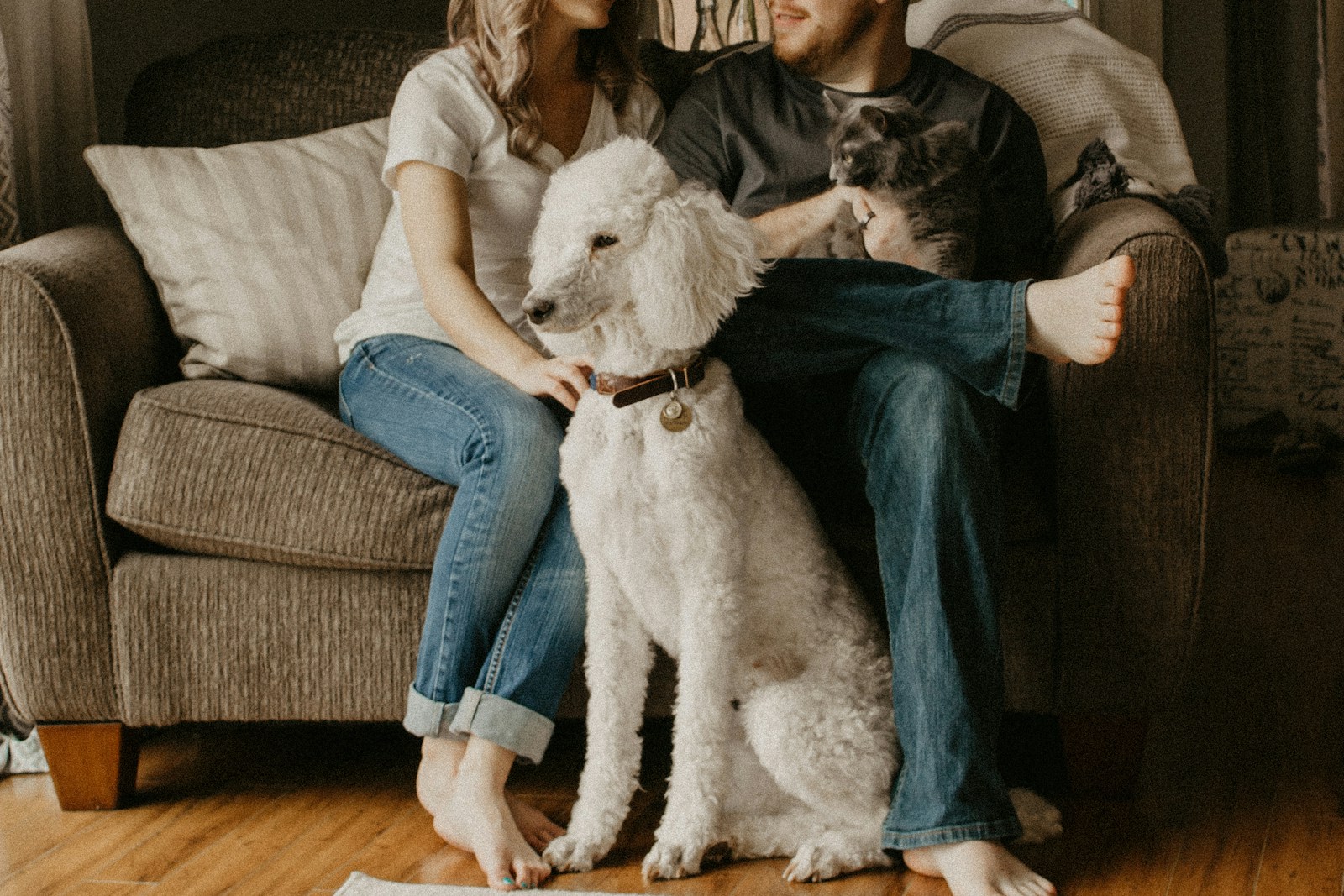 couple sitting on sofa beside dog inside room, liability
